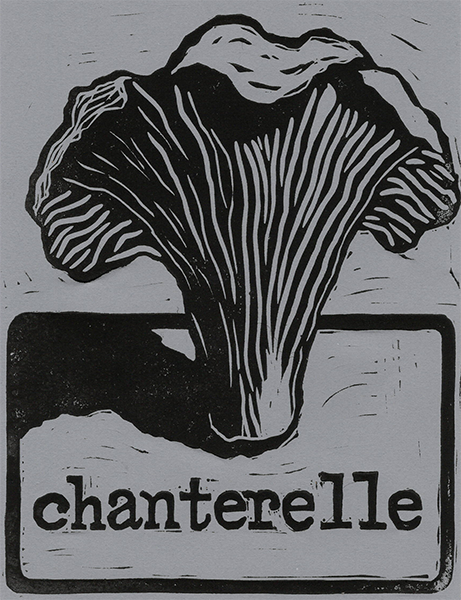 Chanterelle band Logo